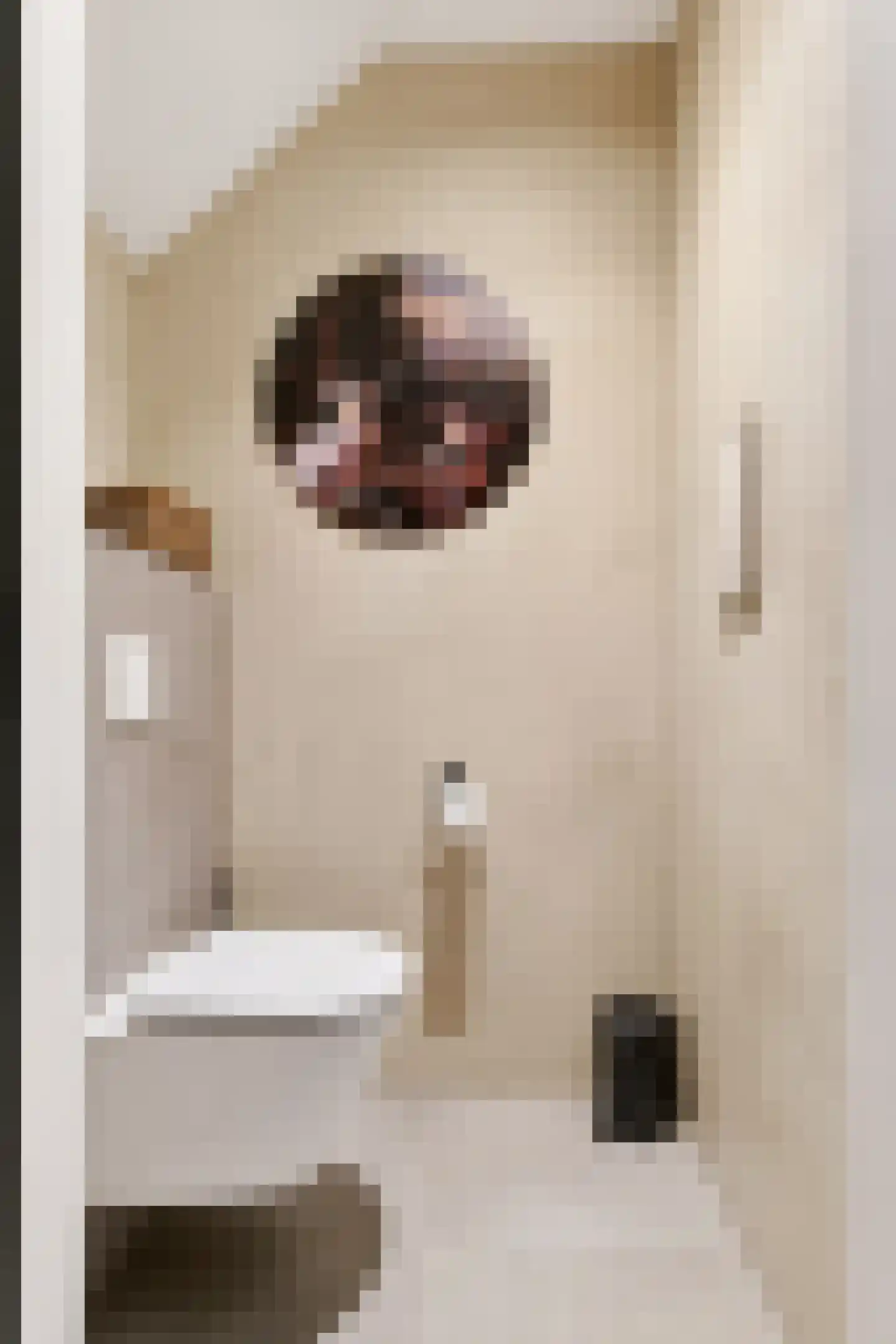 Feike Wybrensstrjitte 12 Surhuisterveen thumbnail 12