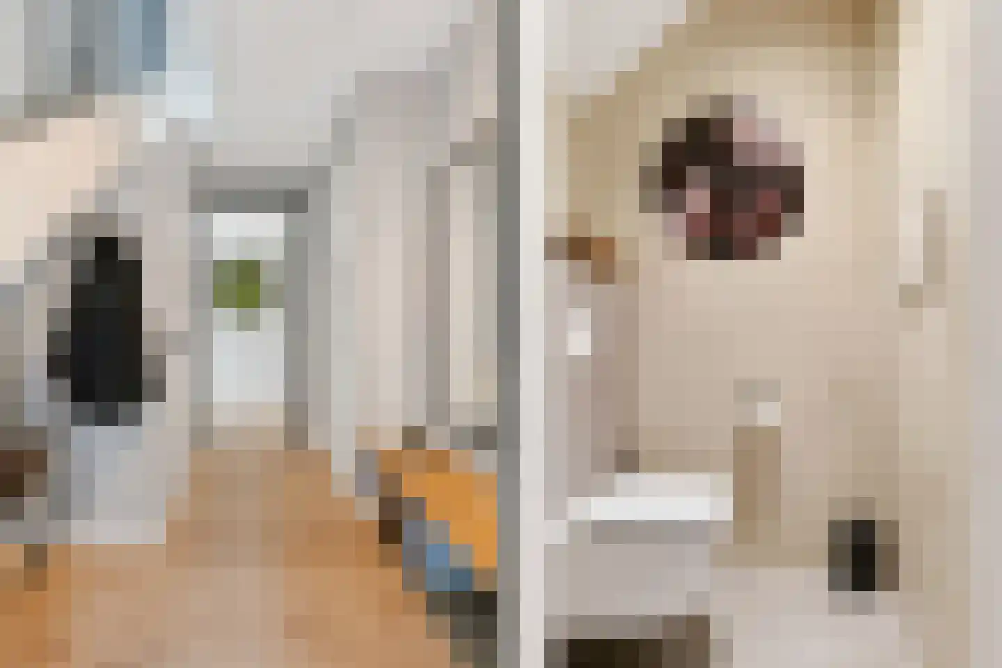 Feike Wybrensstrjitte 12 Surhuisterveen thumbnail 13