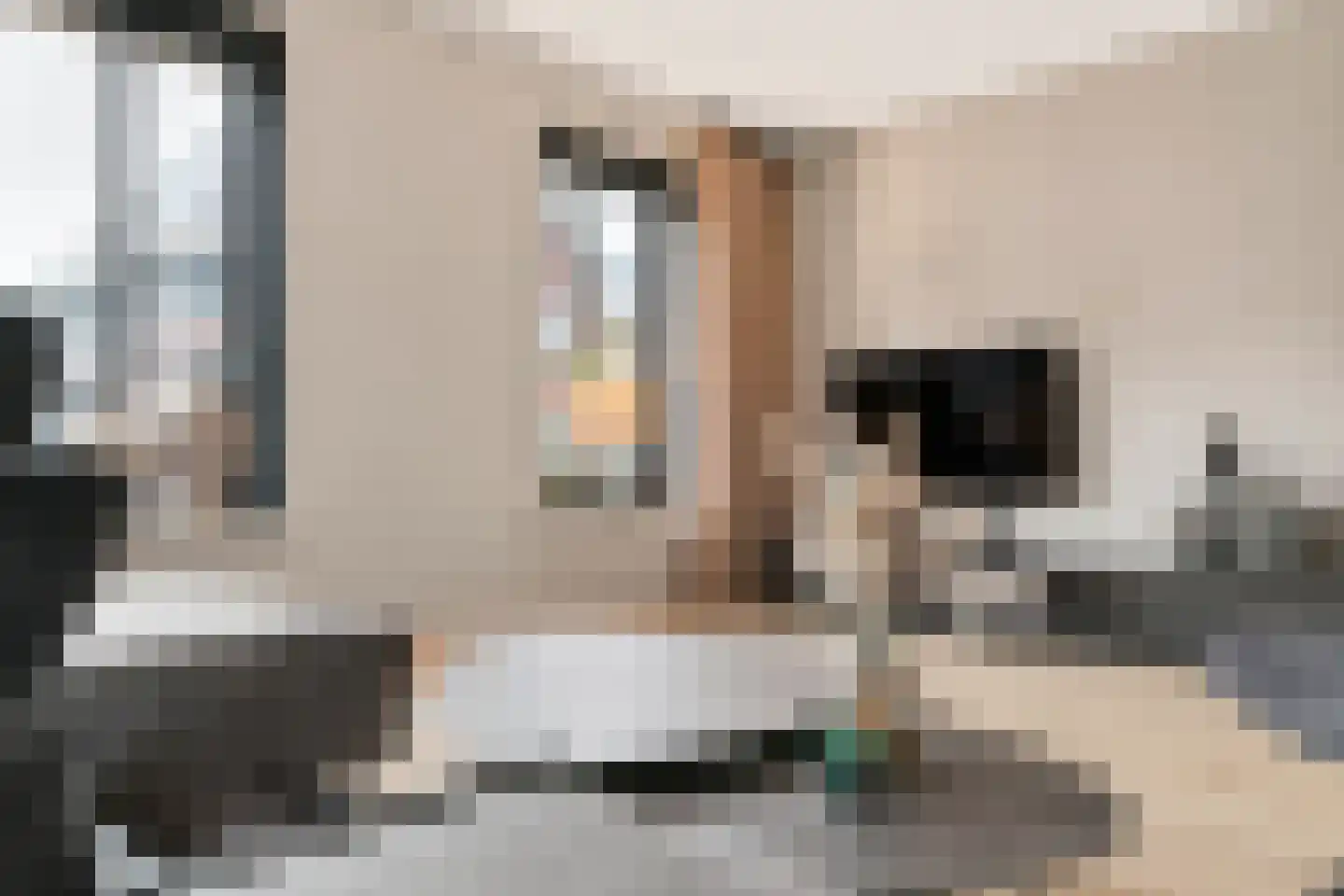 Feike Wybrensstrjitte 12 Surhuisterveen thumbnail 15