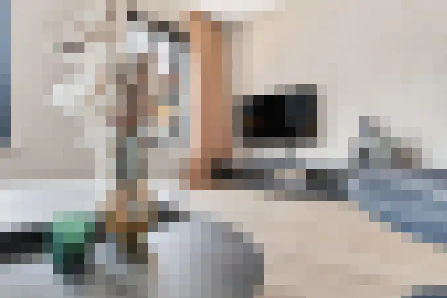 Feike Wybrensstrjitte 12 Surhuisterveen thumbnail 16