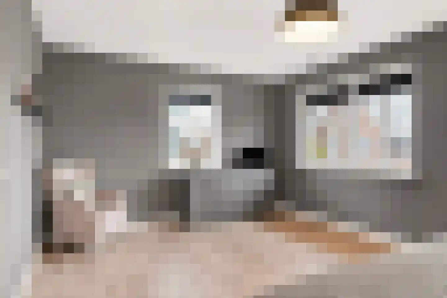 Feike Wybrensstrjitte 12 Surhuisterveen thumbnail 29