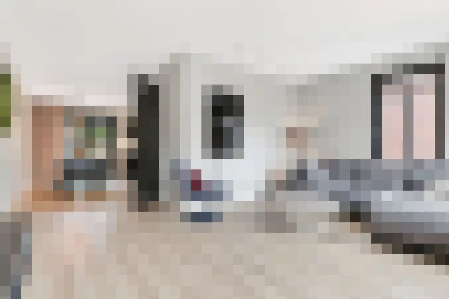 Feike Wybrensstrjitte 12 Surhuisterveen thumbnail 4