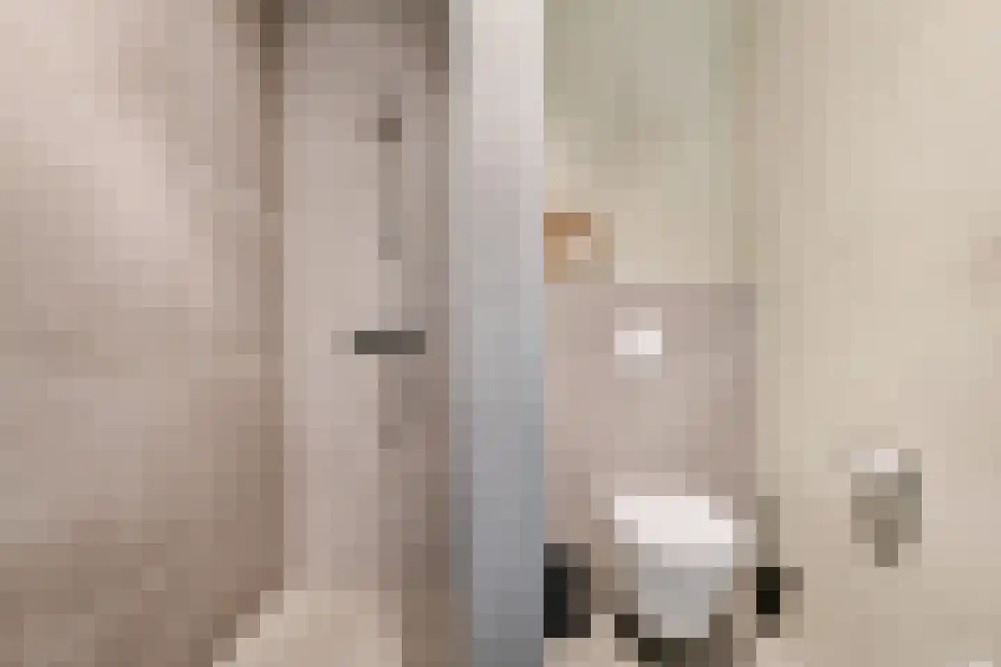 Feike Wybrensstrjitte 12 Surhuisterveen thumbnail 40