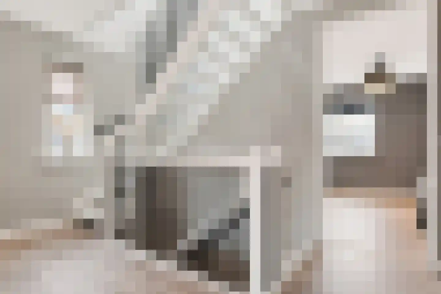 Feike Wybrensstrjitte 12 Surhuisterveen thumbnail 41