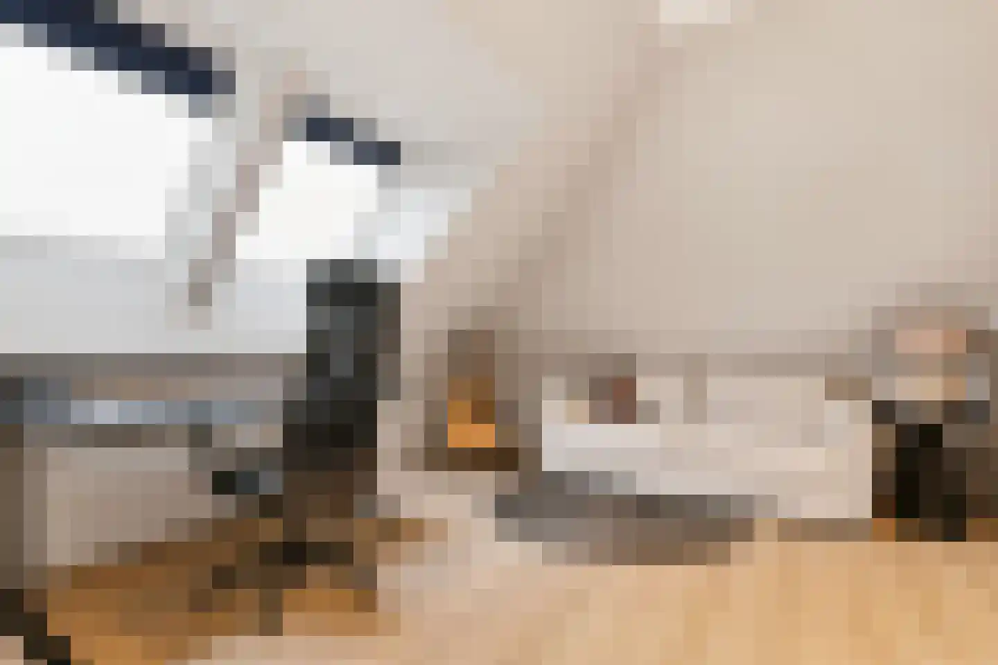 Feike Wybrensstrjitte 12 Surhuisterveen thumbnail 44