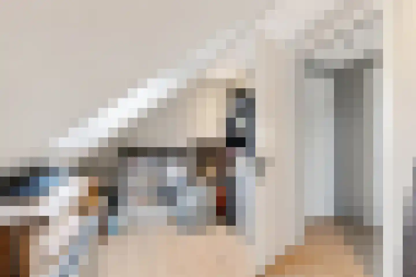 Feike Wybrensstrjitte 12 Surhuisterveen thumbnail 46