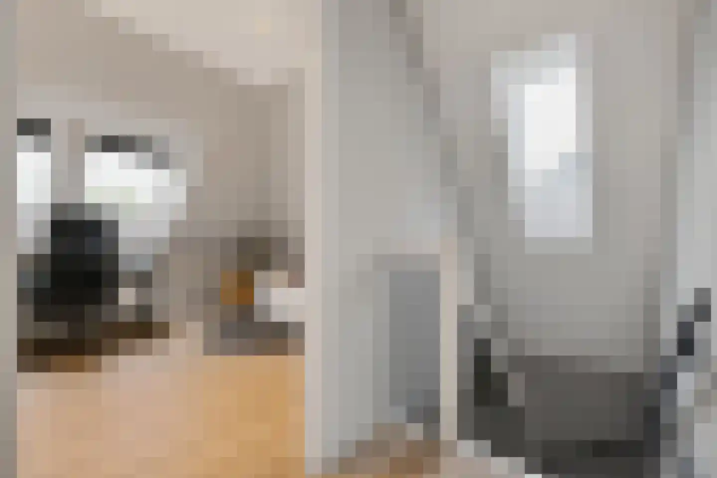 Feike Wybrensstrjitte 12 Surhuisterveen thumbnail 48