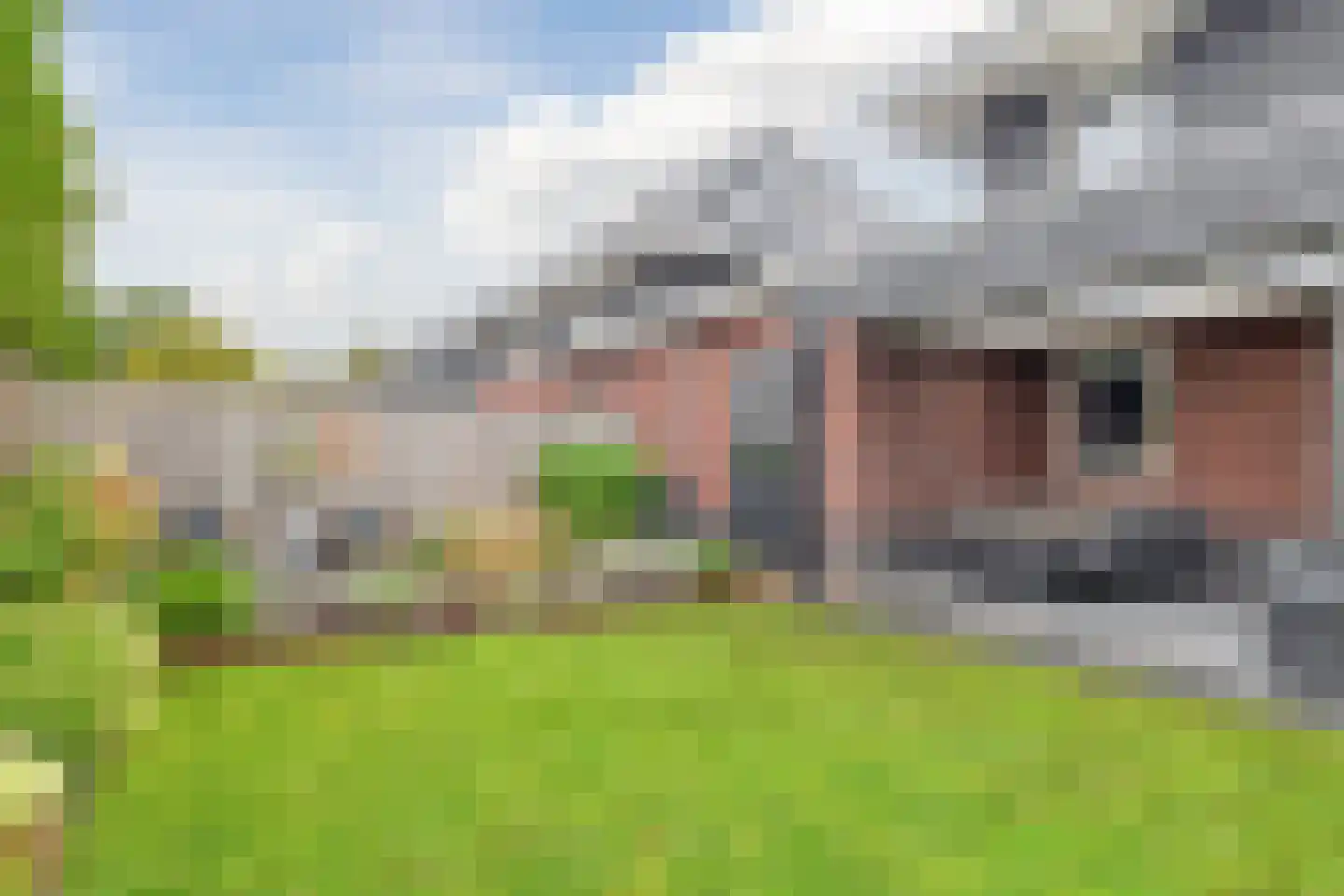 Feike Wybrensstrjitte 12 Surhuisterveen thumbnail 54
