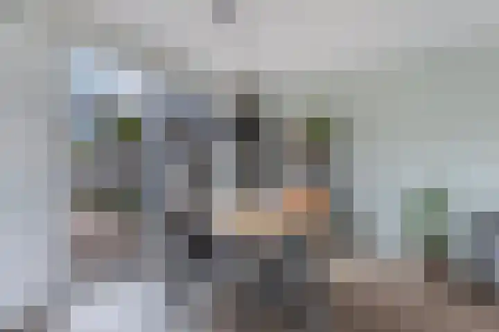 Feikemastraat 43 Franeker thumbnail 18