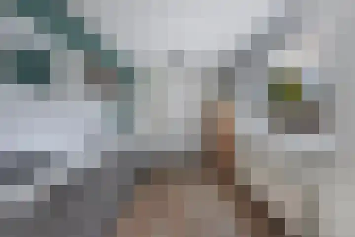Feikemastraat 43 Franeker thumbnail 25