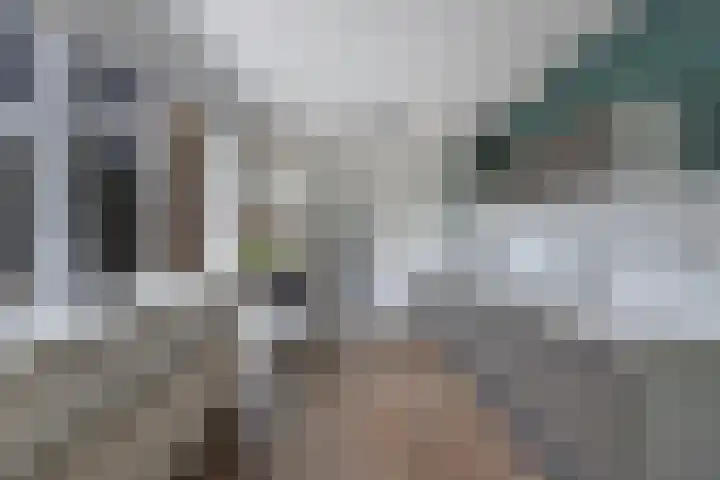 Feikemastraat 43 Franeker thumbnail 27