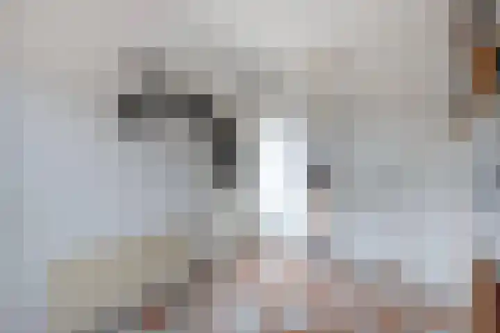 Feikemastraat 43 Franeker thumbnail 29