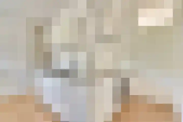 Feikemastraat 43 Franeker thumbnail 35