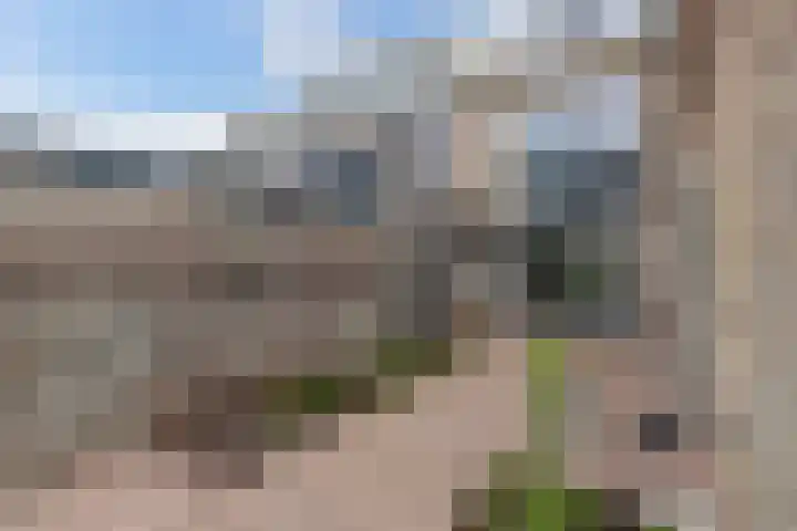 Feikemastraat 43 Franeker thumbnail 45
