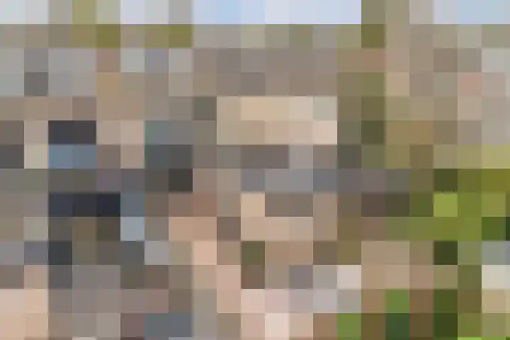 Feikemastraat 43 Franeker thumbnail 52