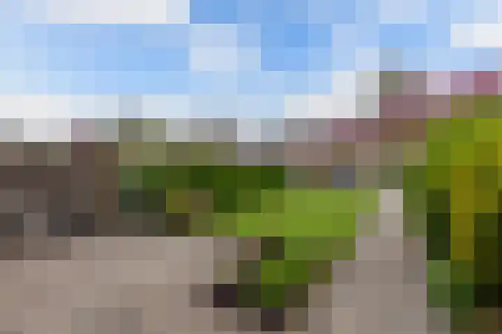 Feikemastraat 43 Franeker thumbnail 6