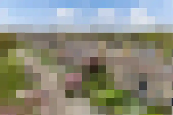 Feikemastraat 43 Franeker thumbnail 9