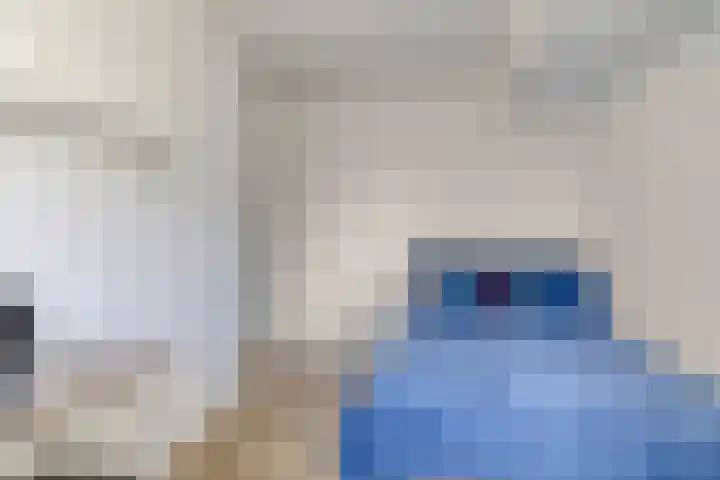 Feiko Clockstraat 141 E Oude Pekela thumbnail 17