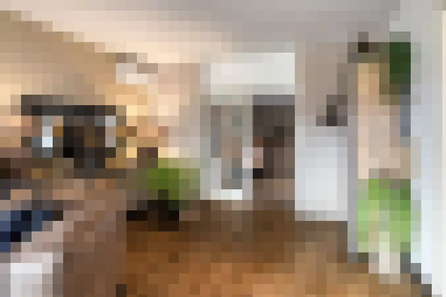 Feiko Clockstraat 145 Oude Pekela thumbnail 11