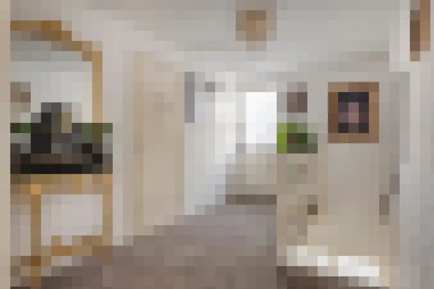 Feiko Clockstraat 145 Oude Pekela thumbnail 21