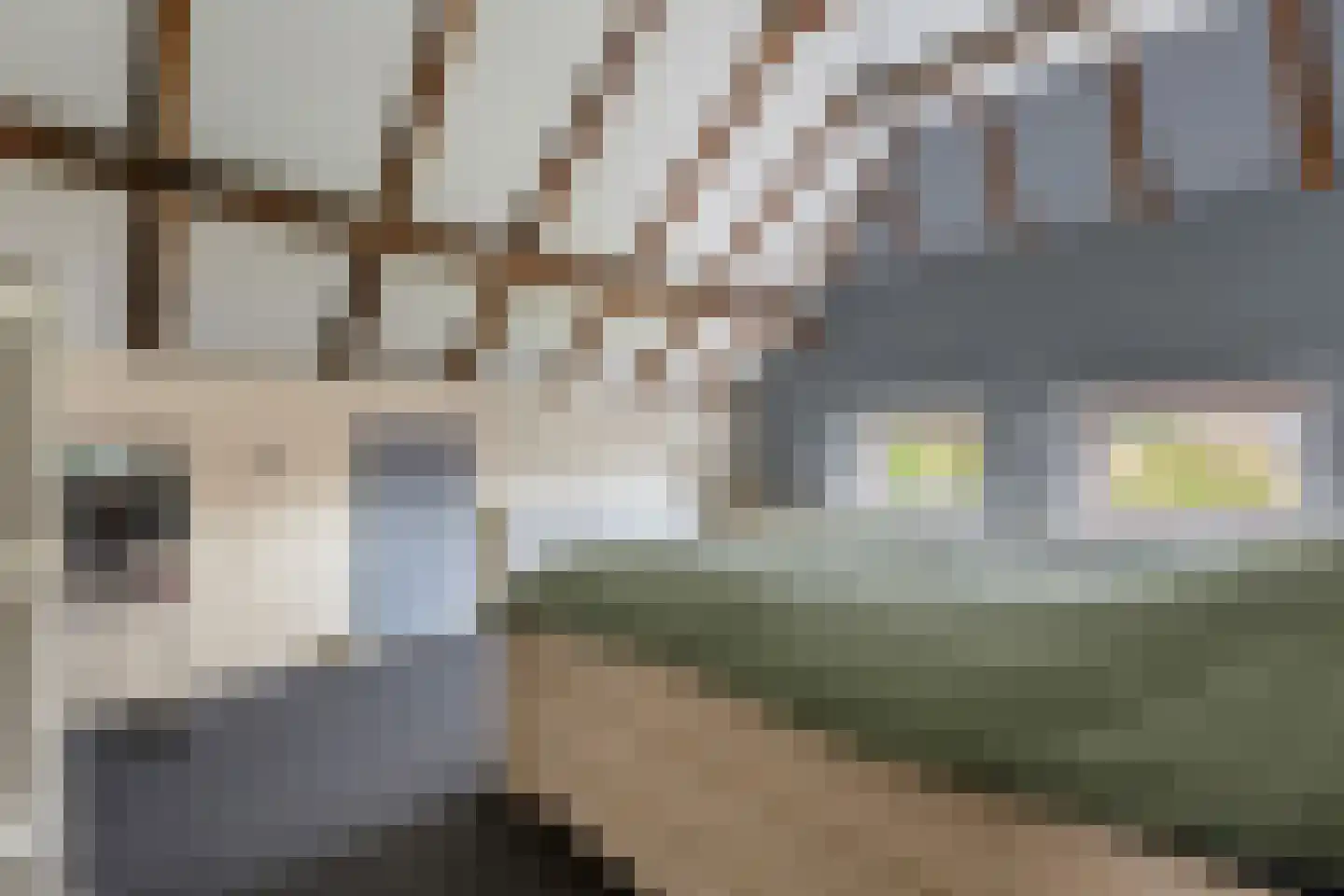 Feiko Clockstraat 201 Oude Pekela thumbnail 25