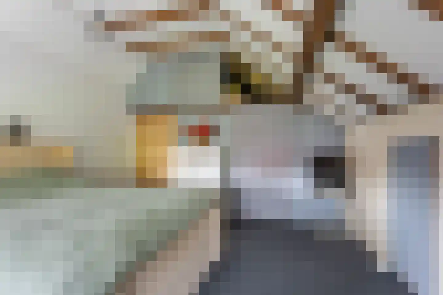 Feiko Clockstraat 201 Oude Pekela thumbnail 26