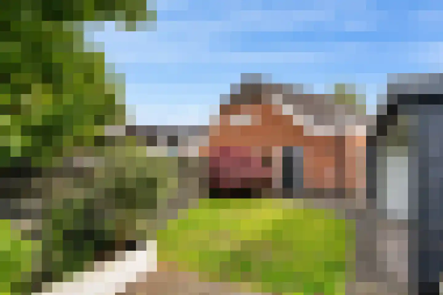 Feiko Clockstraat 201 Oude Pekela thumbnail 37