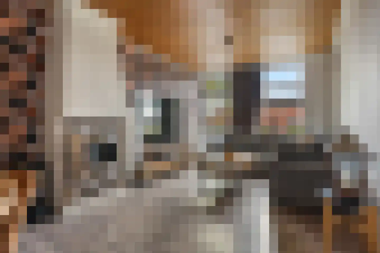 Feiko Clockstraat 201 Oude Pekela thumbnail 8