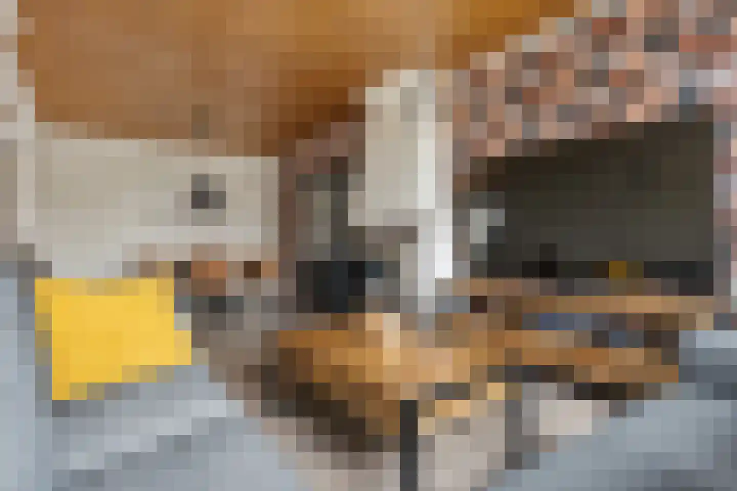 Feiko Clockstraat 201 Oude Pekela thumbnail 9