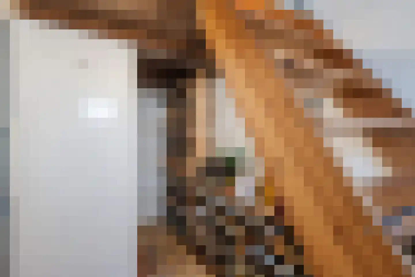 Feiko Clockstraat 23 Oude Pekela thumbnail 31