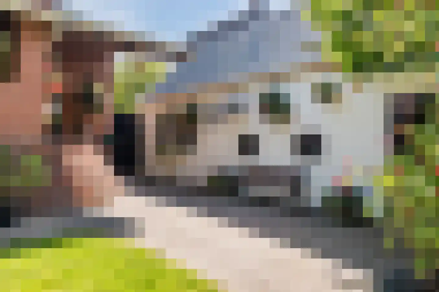 Feiko Clockstraat 23 Oude Pekela thumbnail 4