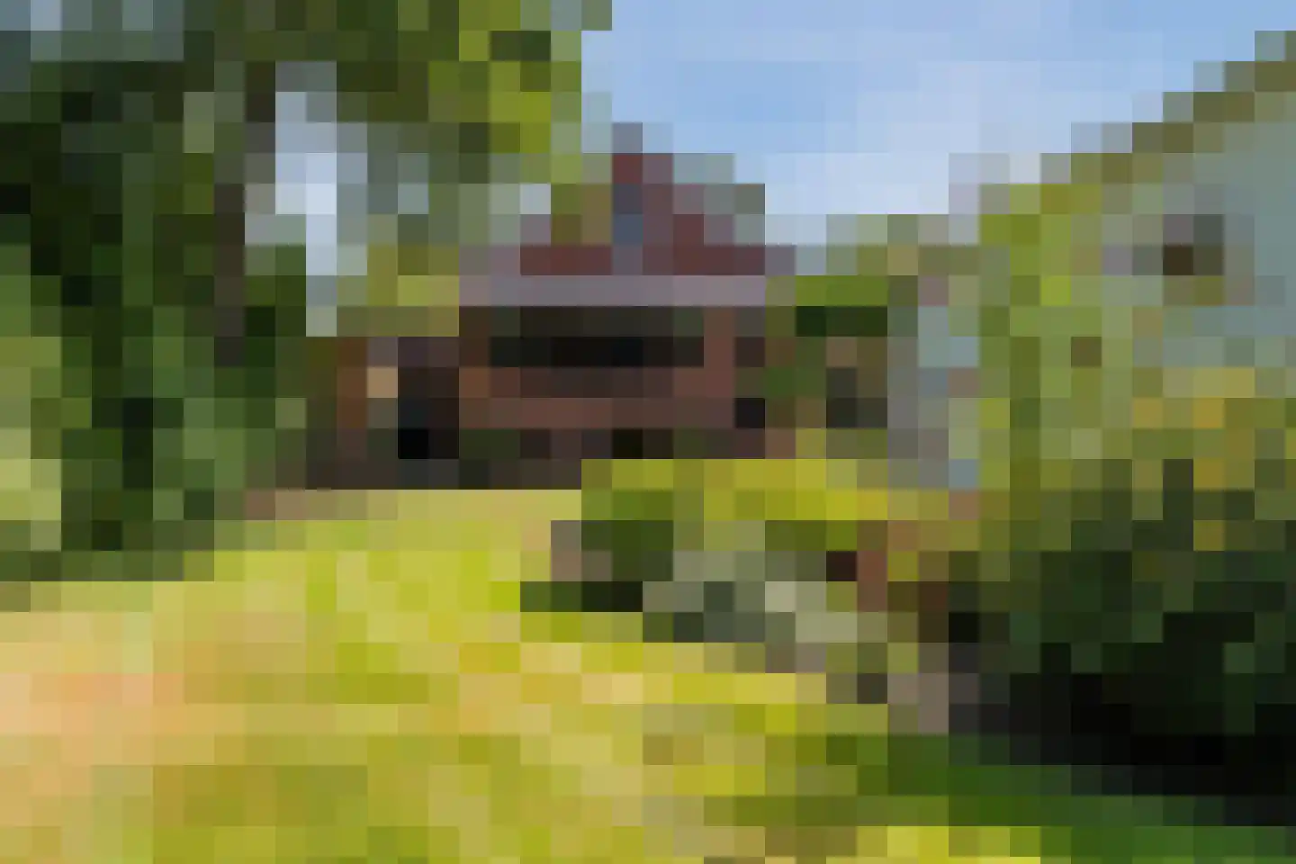 Feiko Clockstraat 23 Oude Pekela thumbnail 49