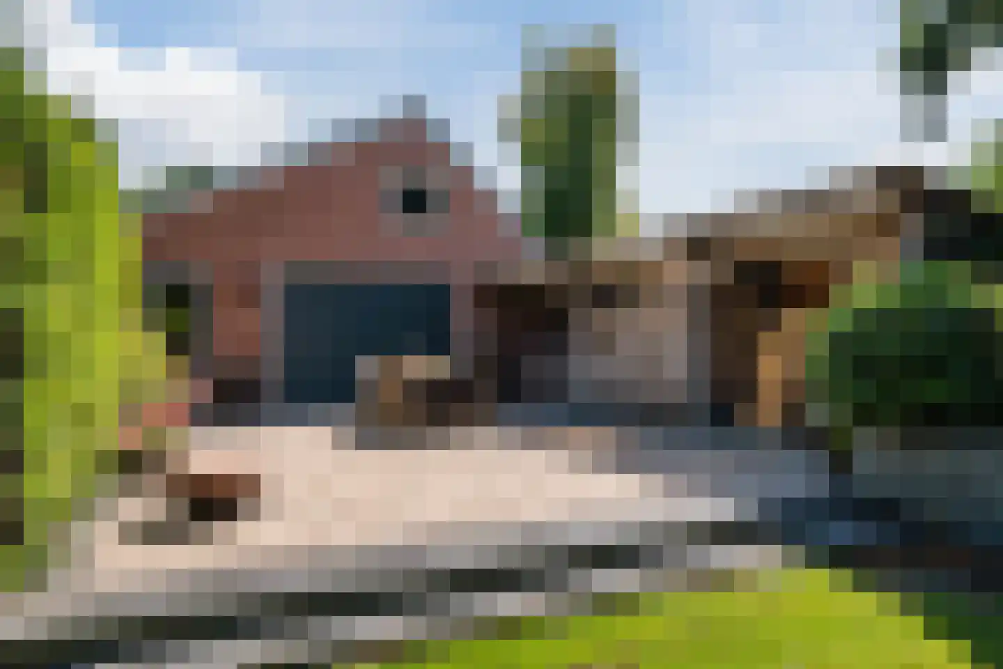 Feiko Clockstraat 23 Oude Pekela thumbnail 51