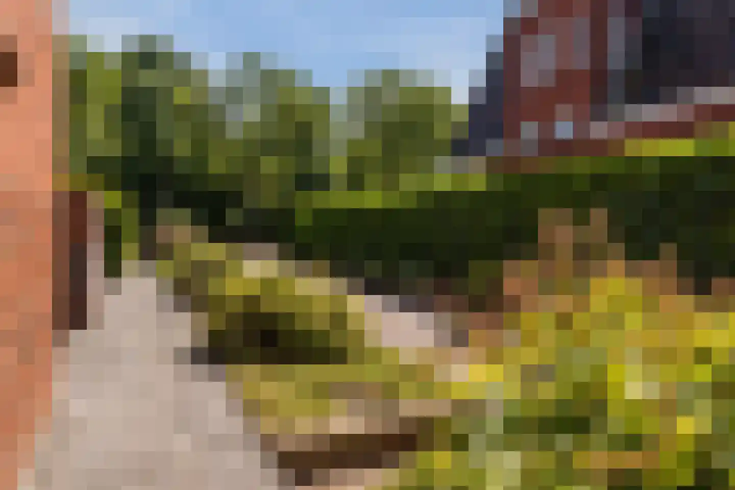 Feiko Clockstraat 23 Oude Pekela thumbnail 62