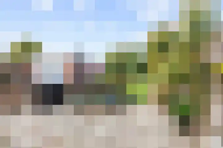 Feiko Clockstraat 24 Oude Pekela thumbnail 27