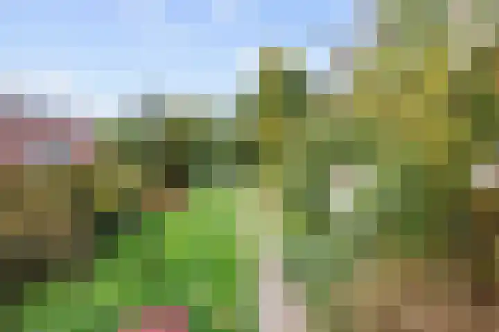 Feiko Clockstraat 24 Oude Pekela thumbnail 28