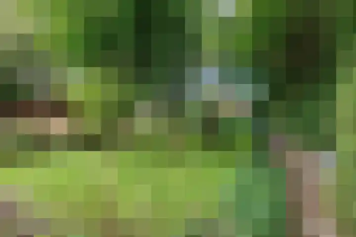 Feiko Clockstraat 24 Oude Pekela thumbnail 31