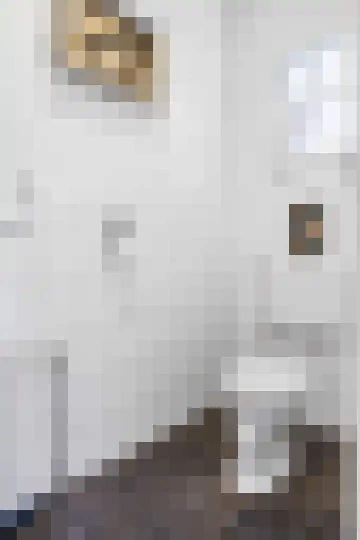 Feiko Clockstraat 24 Oude Pekela thumbnail 6