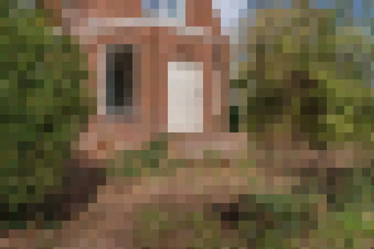 Feiko Clockstraat 30 Oude Pekela thumbnail 13
