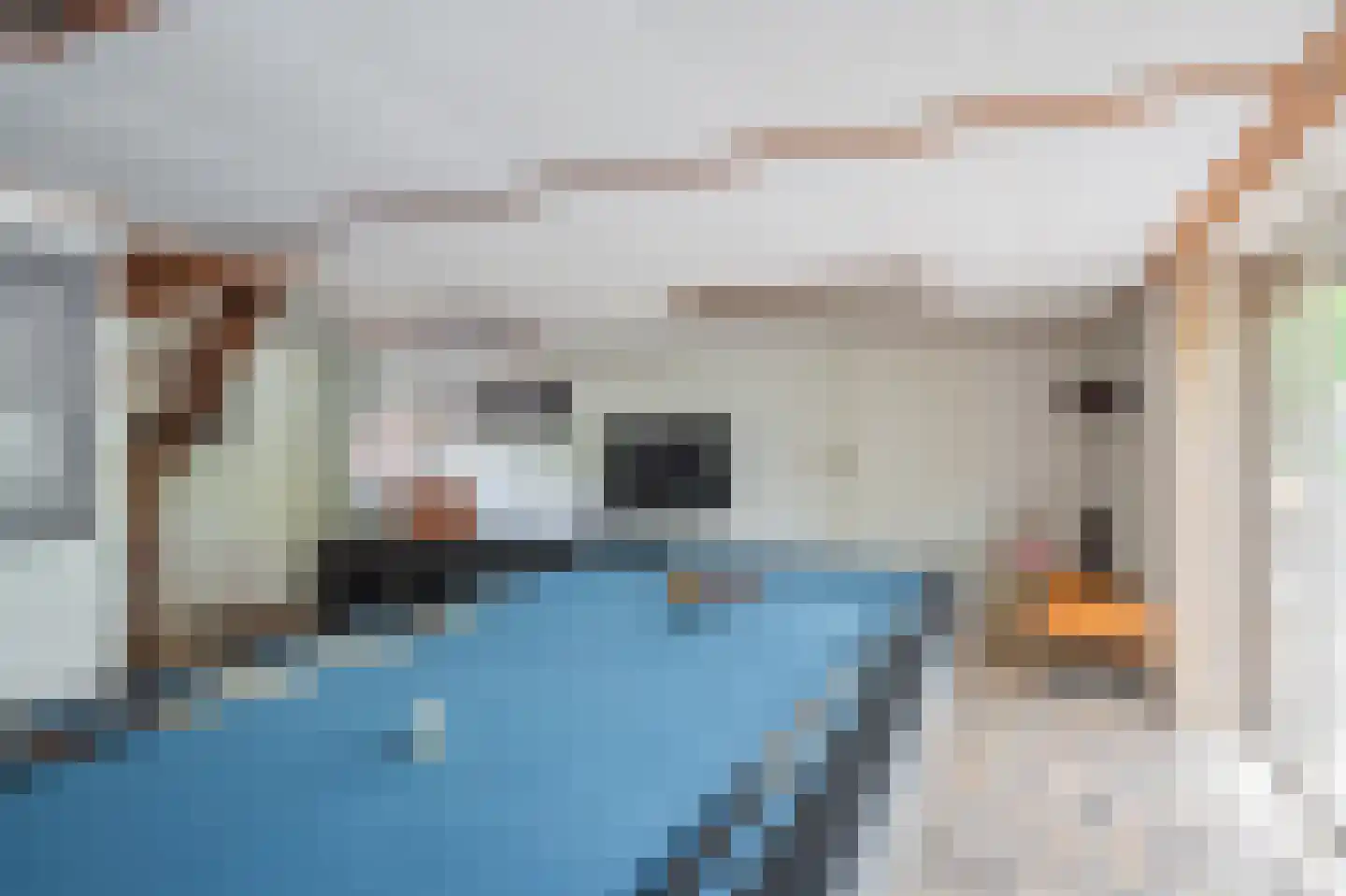 Feiko Clockstraat 30 Oude Pekela thumbnail 28