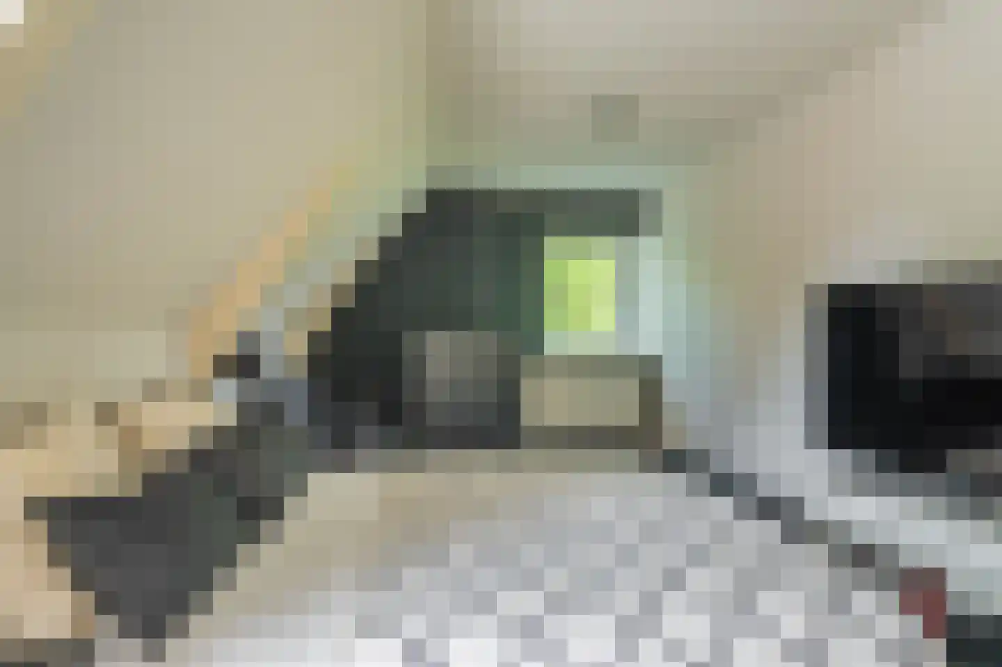Feiko Clockstraat 30 Oude Pekela thumbnail 43