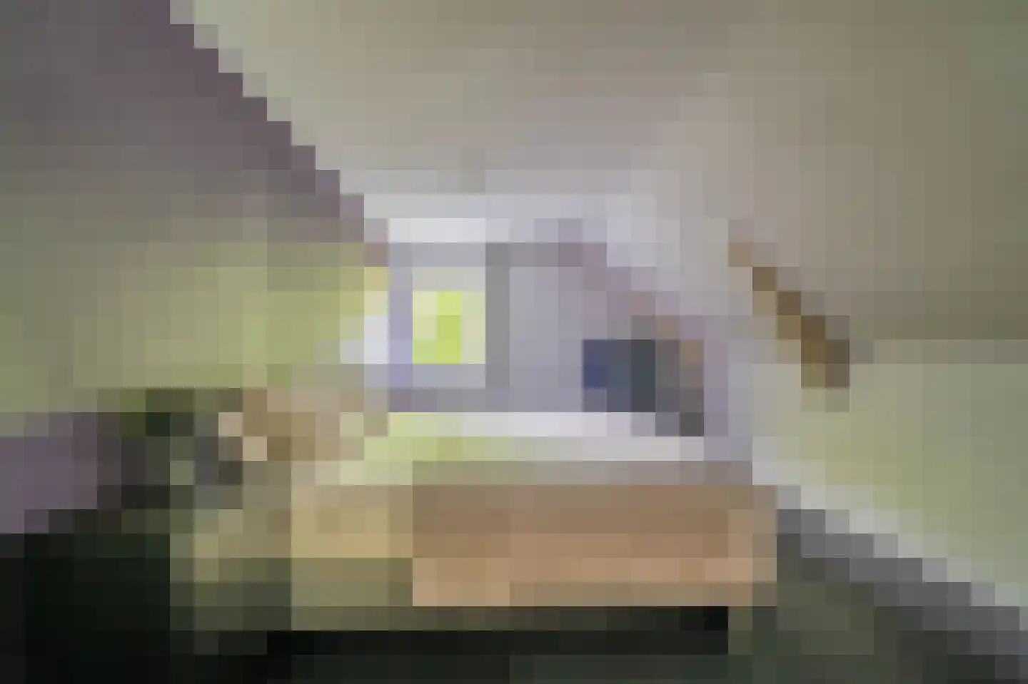 Feiko Clockstraat 30 Oude Pekela thumbnail 44