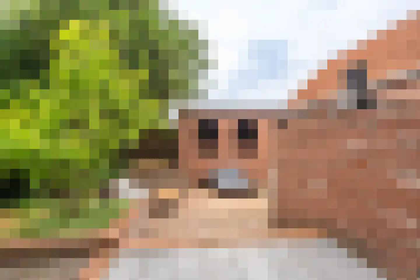 Feiko Clockstraat 30 Oude Pekela thumbnail 63