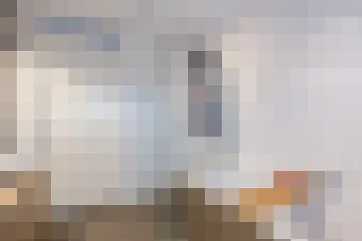 Feiko Clockstraat 45 Oude Pekela thumbnail 26