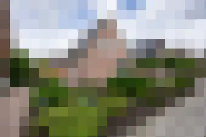 Feiko Clockstraat 62 Oude Pekela thumbnail 16