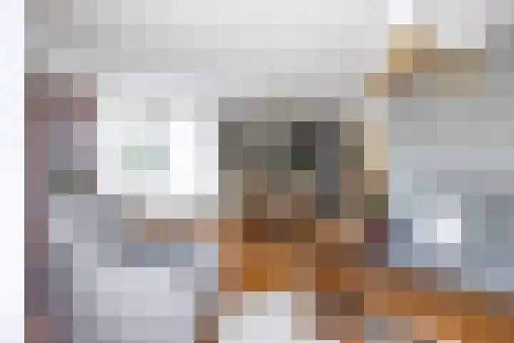 Feiko Clockstraat 62 Oude Pekela thumbnail 27
