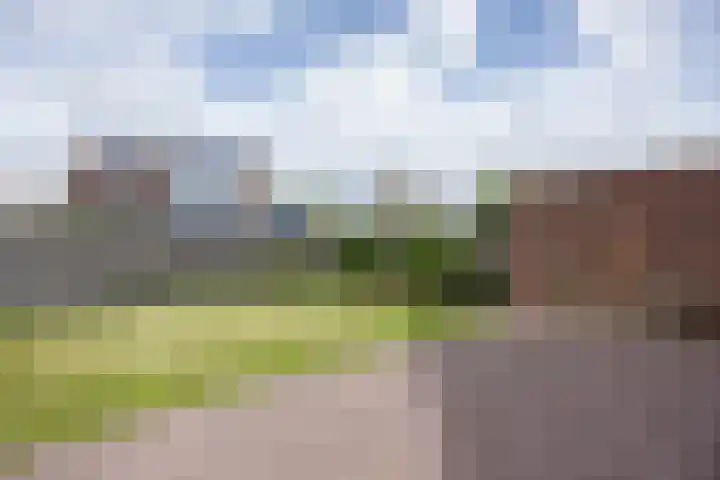 Feiko Clockstraat 62 Oude Pekela thumbnail 52