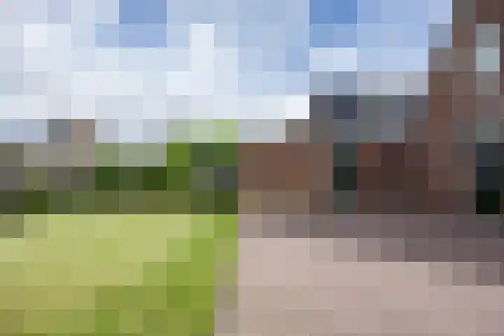 Feiko Clockstraat 62 Oude Pekela thumbnail 53