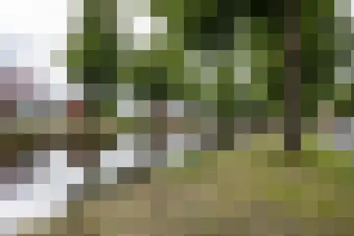 Feiko Clockstraat 62 Oude Pekela thumbnail 6