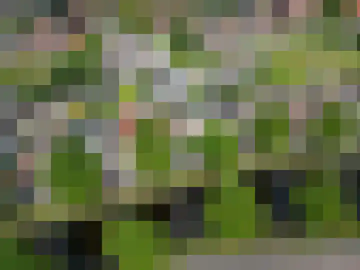 Feiko Clockstraat 62 Oude Pekela thumbnail 8